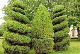 市政园林管理问题浮出水面，亟待解决！